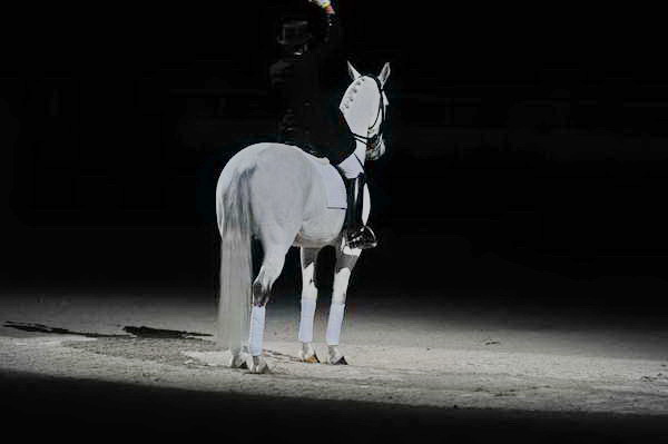WIHS2-10-29-10-6533-PamGoodrich-Lamborghini-DDeRosaPhoto.JPG