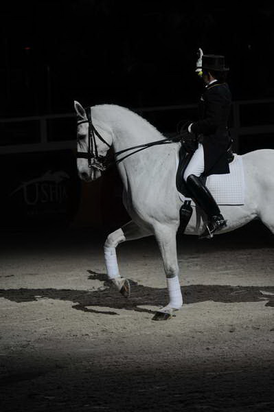 WIHS2-10-29-10-6552-PamGoodrich-Lamborghini-DDeRosaPhoto.JPG