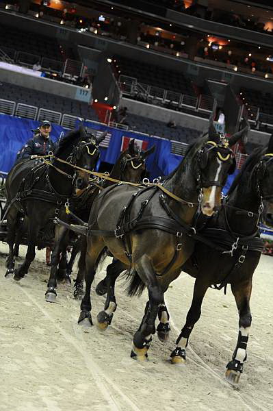 WIHS2-10-28-10-4689-ChesterWeber-DDeRosaPhoto.JPG