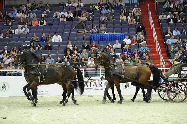 WIHS2-10-28-10-4696-ChesterWeber-DDeRosaPhoto.jpg