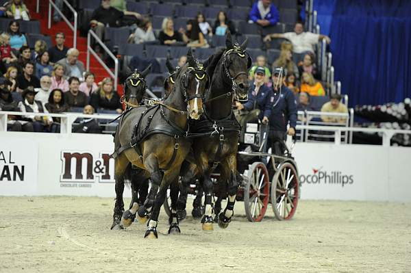 WIHS2-10-28-10-4712-ChesterWeber-DDeRosaPhoto.jpg