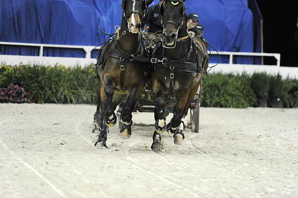 WIHS2-10-28-10-4728-ChesterWeber-DDeRosaPhoto.jpg