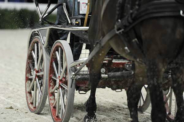 WIHS2-10-28-10-4731-ChesterWeber-DDeRosaPhoto.jpg