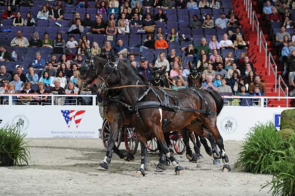 WIHS2-10-30-10-8666-ChesterWeber-DDeRosaPhoto.jpg