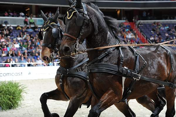 WIHS2-10-30-10-8674-ChesterWeber-DDeRosaPhoto.jpg