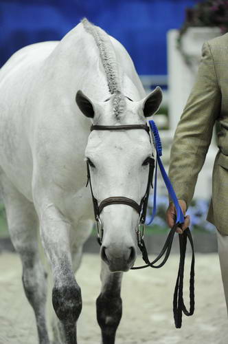 WIHS1-10-26-10-Cl23-1stYrHndyHtr-WEG_8228-SummerPlace-AlexJayne-DDeRosaPhoto.jpg