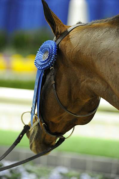 WIHS1-10-26-10-Cl43-RgWkgHndyHtr-8669-DDeRosaPhoto.jpg