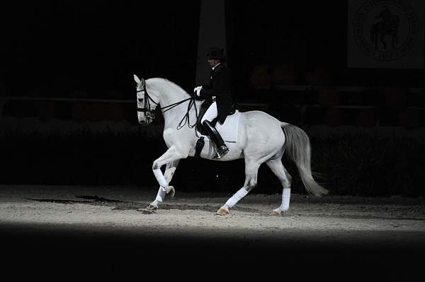WIHS2-10-29-10-6497-PamGoodrich-Lamborghini-DDeRosaPhoto-2.jpg