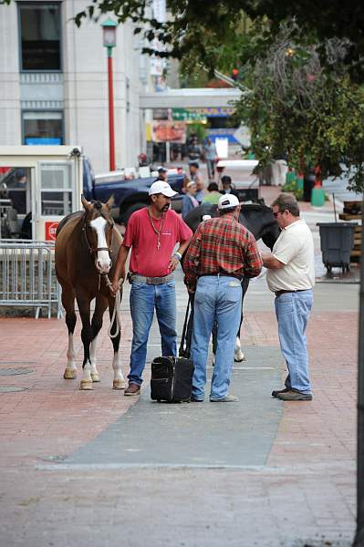WIHS2-2010-WEG_0626-DDeRosaPhoto.jpg