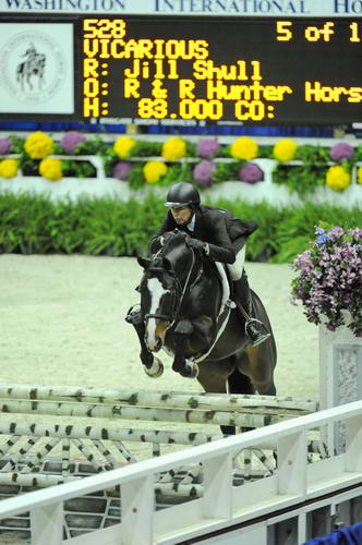 WIHS1-10-26-10-Cl43-RgWkgHndyHtr-8586-Vicarious-JillShull-DDeRosaPhoto.jpg