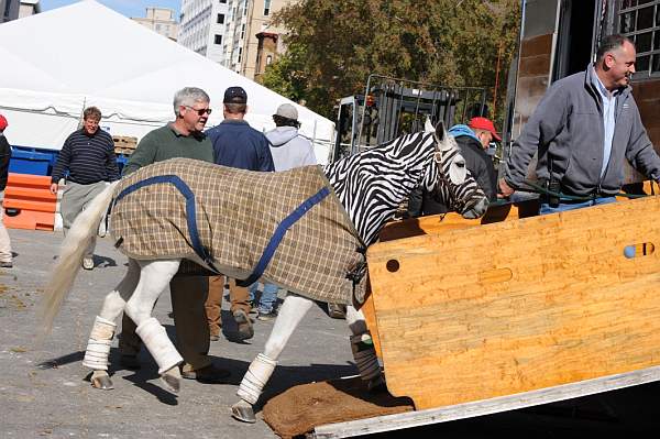 WIHS-10-25-09-DSC_2674-AroundGrounds-Outside-Loading-DDeRosaPhoto.jpg