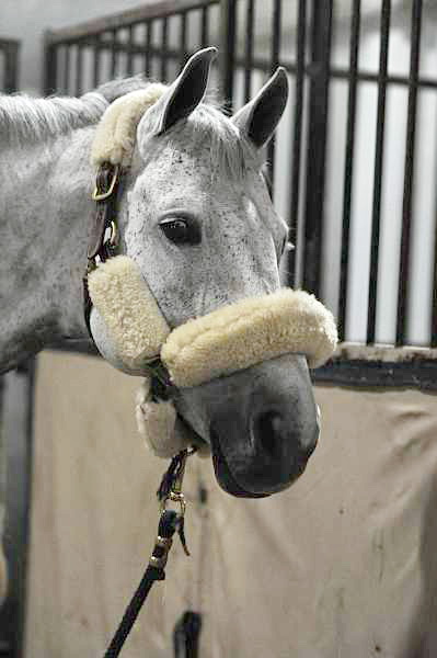 WIHS-10-25-10-Setup-0443-DDeRosaPhoto.jpg