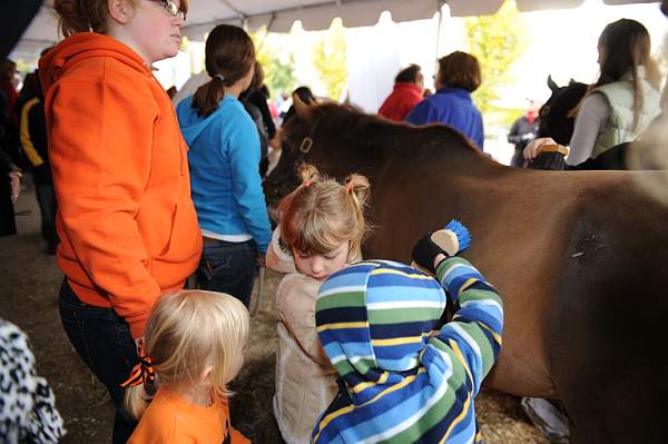 WIHS3-10-30-10-DSC_8226-KidsDay-DDeRosaPhoto.jpg