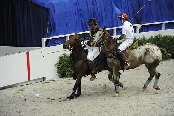 WIHS2-10-27-10-MilitaryPolo-2123-DDeRosaPhoto.jpg