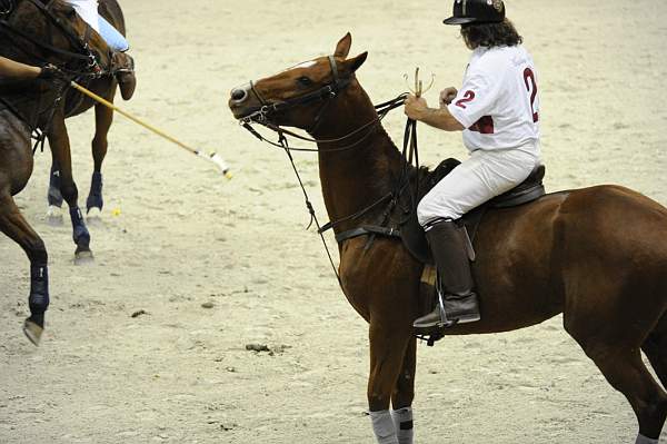 WIHS2-10-27-10-MilitaryPolo-2125-DDeRosaPhoto.jpg