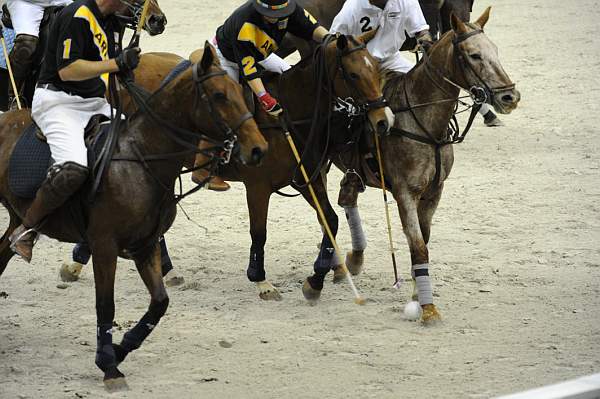 WIHS2-10-27-10-MilitaryPolo-2127-DDeRosaPhoto.jpg