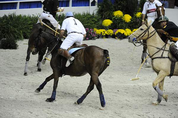 WIHS2-10-27-10-MilitaryPolo-2138-DDeRosaPhoto.jpg