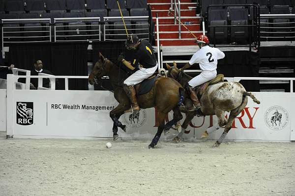 WIHS2-10-27-10-MilitaryPolo-2144-DDeRosaPhoto.jpg