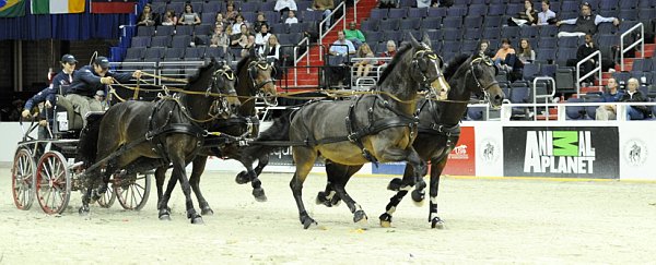 Animal_Planet-WIHS2-10-28-10-4700-DDeRosaPhoto.jpg