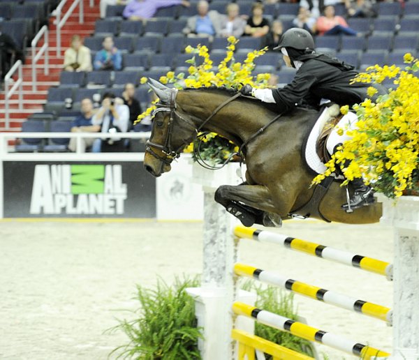 Animal_Planet-WIHS2-10-28-10-4921-DDeRosaPhoto-crop.jpg