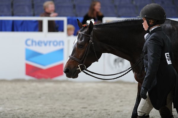 Chevron-WIHS3-10-31-10-Cl114-MedPnyHtr-9759-AlwaysHappy-AbbyFunk-DDeRosaPhoto.jpg