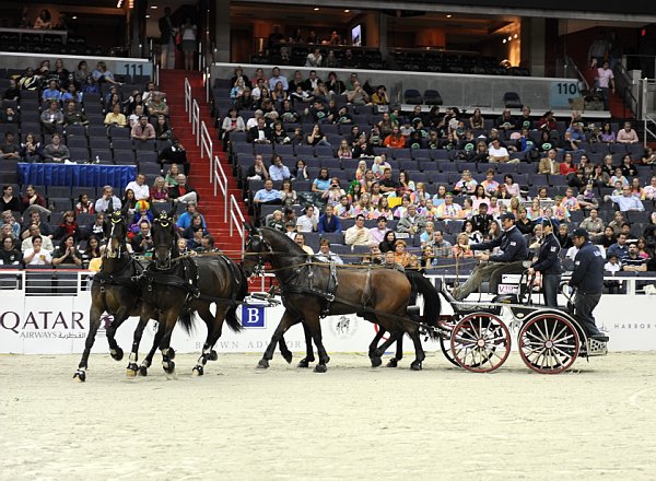 Qatar-WIHS2-10-28-10-DSC_7917-DDeRosaPhoto.jpg