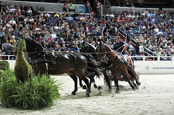 Teach_for_America-WIHS2-10-30-10-8669-DDeRosaPhoto.jpg
