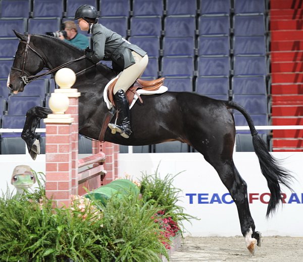 WIHS2-10-29-10-Cl181-WIHSEq-Htr-5637-HayleyBarnhill-Dynasty-DDeRosaPhoto.jpg