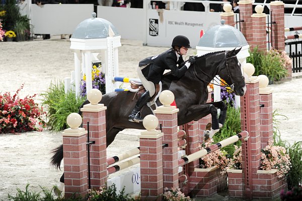 WIHS2-10-30-10-Cl182-WIHSEqJpr-8142-CatherineBillings-Figaro-DDeRosaPhoto.jpg