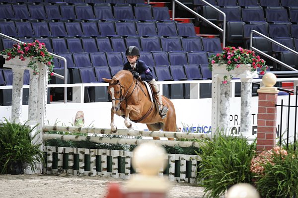 WIHS2-10-30-10-WIHSPnyEqFinals-7463-ParkWright-Blondie-DDeRosaPhoto.jpg