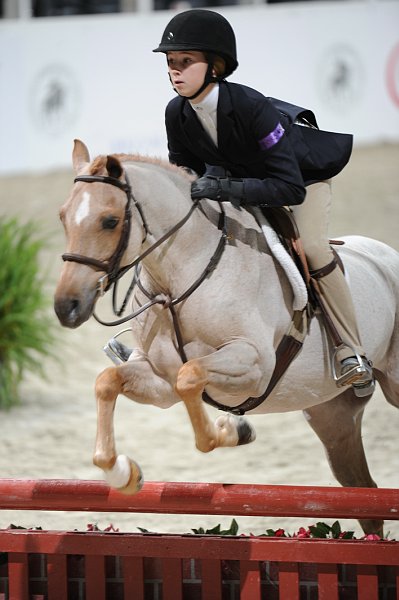 WIHS2-10-30-10-WIHSPnyEqFinals-7487-AliTritschler-ClovermeadeBunnySideUp-DDeRosaPhoto.jpg