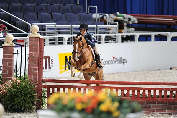 WIHS2-10-30-10-WIHSPnyEqFinals-7493-AlexandraCrown-Halo-DDeRosaPhoto.jpg
