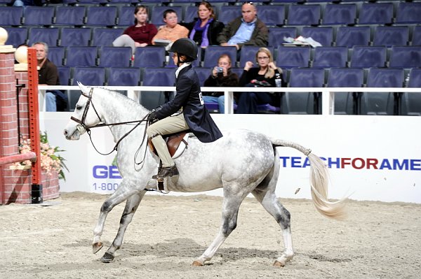 WIHS3-10-31-10-Cl193-LocHtrFinals-Pny-0209-LakeviewPickpocket-LaurenRockwell-DDeRosaPhoto.jpg