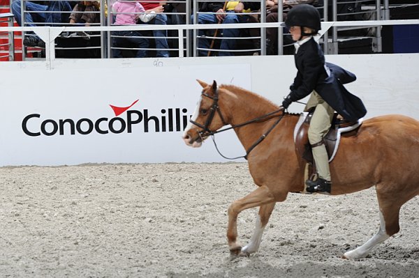 WIHS3-10-31-10-Cl193-LocHtrFinals-Pny-0227-PumpkinPatch-TrinityHammerschmidt-DDeRosaPhoto.jpg