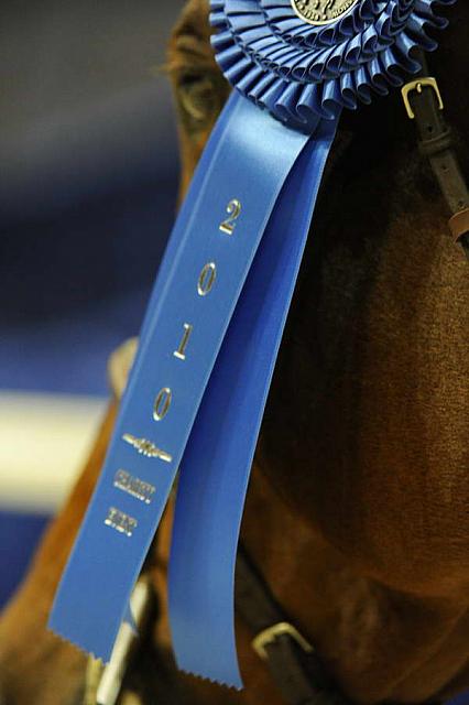 WIHS1-10-26-10-Cl43-RgWkgHndyHtr-8666-Rosalynn-DDeRosaPhoto.JPG
