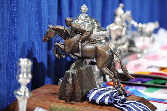 Awards-WIHS2-10-27-10-0137-DDeRosaPhoto.JPG