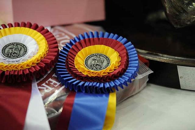 Awards-WIHS2-10-30-10-WIHSPnyEqFinals-7549-DDeRosaPhoto.JPG
