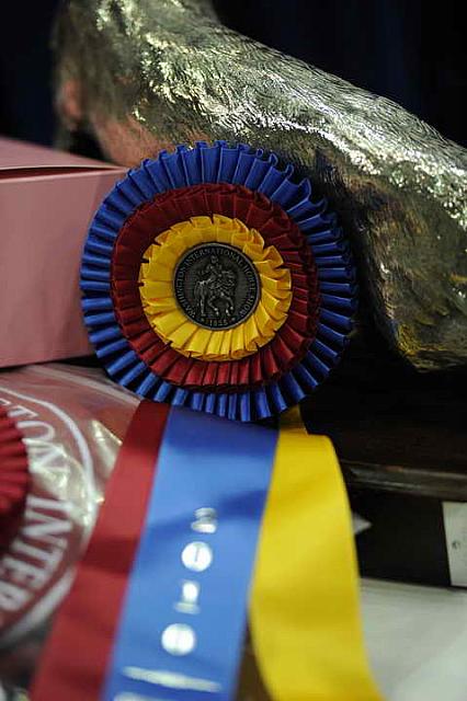 Awards-WIHS2-10-30-10-WIHSPnyEqFinals-7551-DDeRosaPhoto.JPG