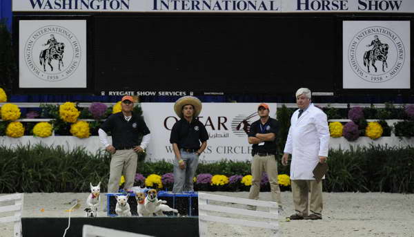 Terriers-WIHS2-10-30-10-8629-DDeRosaPhoto.JPG