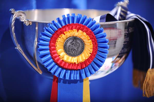 WIHS-10-24-09-DER 8174-Awards-DDeRosaPhoto