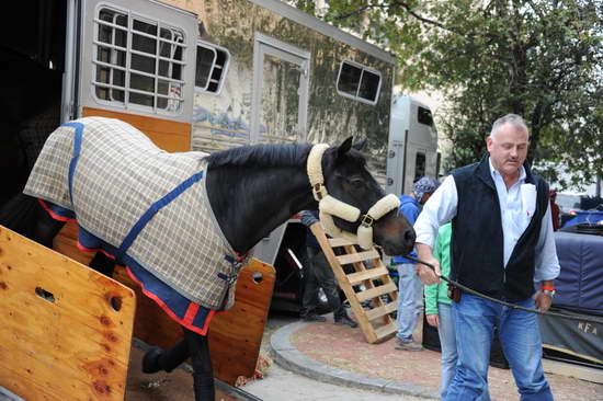 WIHS1-10-24-11-DSC_6092-DDeRosaPhoto.JPG