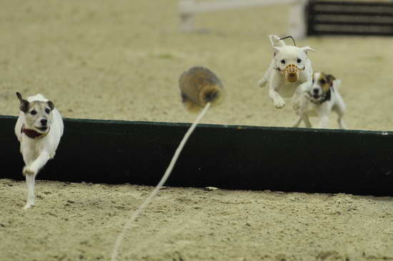 WIHS-8362-DDeRosaPhoto