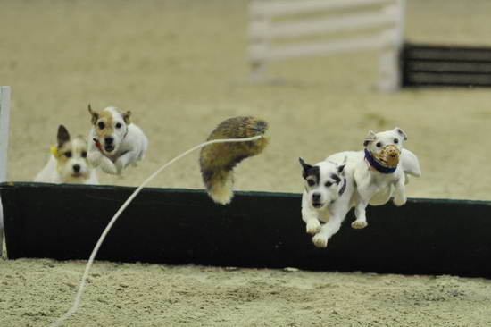 WIHS-8383-DDeRosaPhoto