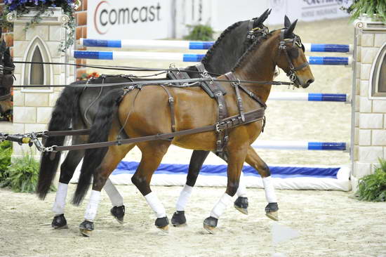 WIHS4-10-28-11-ChesterWeber-1004-DDeRosaPhoto.JPG
