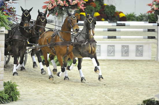 WIHS4-10-28-11-ChesterWeber-1026-DDeRosaPhoto.JPG
