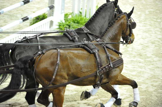 WIHS4-10-28-11-ChesterWeber-1048-DDeRosaPhoto.JPG