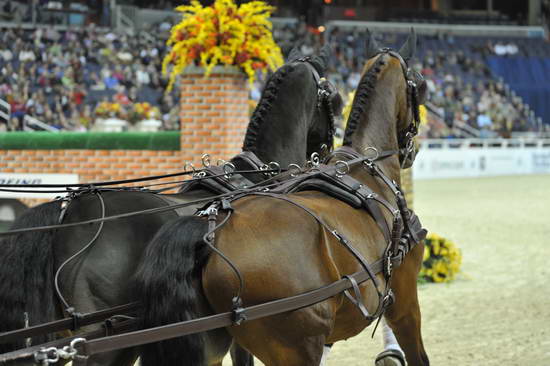 WIHS4-10-28-11-ChesterWeber-4206-DDeRosaPhoto.JPG
