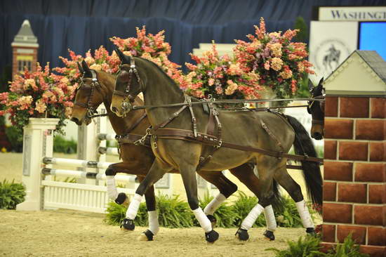 WIHS4-10-28-11-ChesterWeber-4221-DDeRosaPhoto.JPG