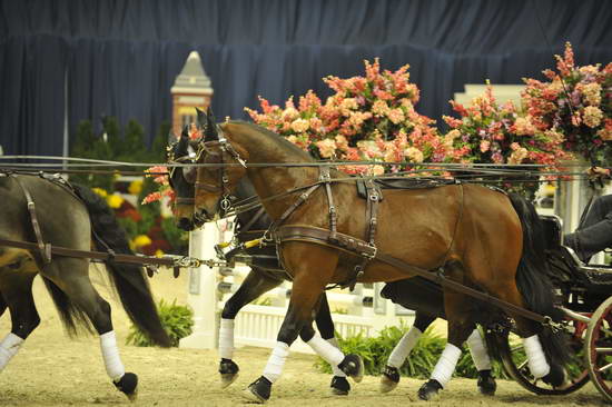 WIHS4-10-28-11-ChesterWeber-4222-DDeRosaPhoto.JPG