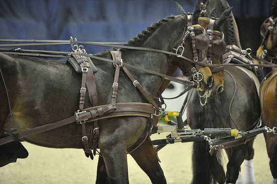 WIHS4-10-28-11-ChesterWeber-4256-DDeRosaPhoto.JPG